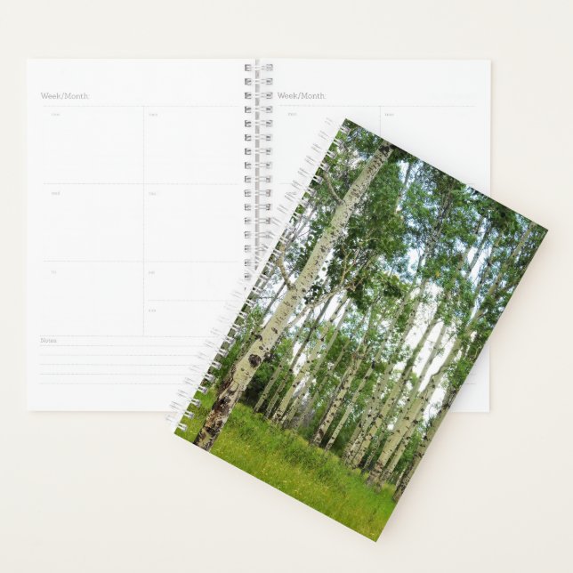 Agenda Sm Planner Quaking Aspende @ Yellowstone (Exibição)