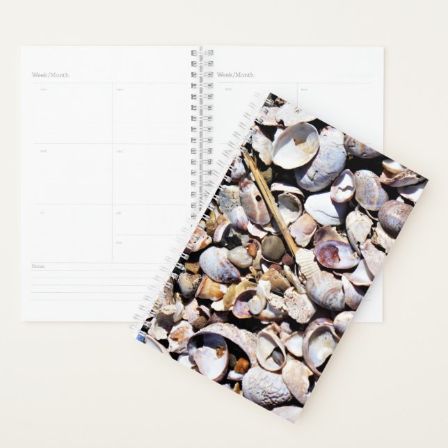 Agenda Sm Planner Seashells (Exibição)