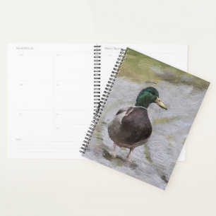 Agenda SmartMix Duck 1220