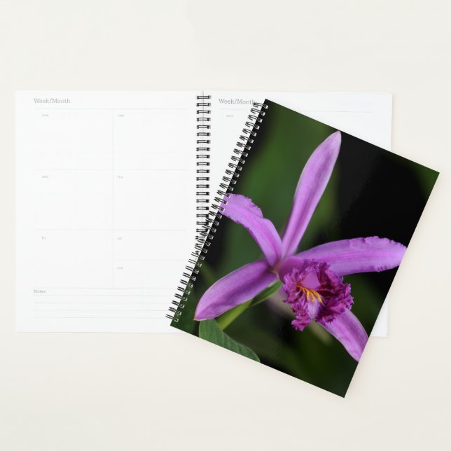 Agenda Sobralia Bouchei (Exibição)