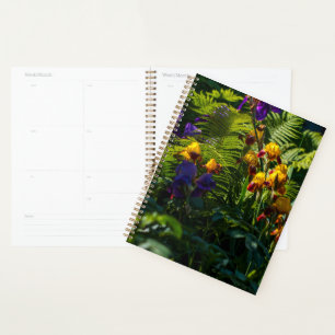 Agenda Solny Iris Flowers Garden Fern