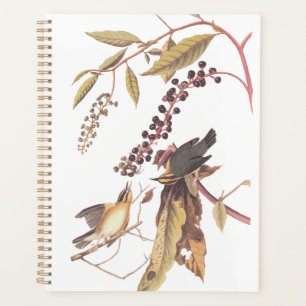 Agenda Songbird Audubon Warbler Comedor de Vermes