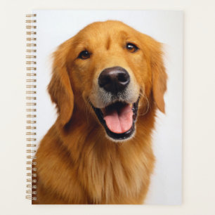 Agenda Sorriso do ouro Retriever