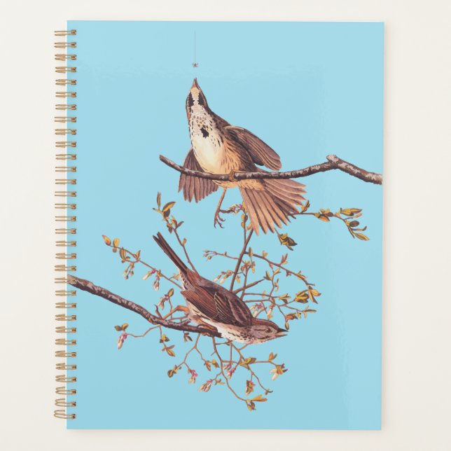 Agenda Sparrow Audubon Song com Aranha Pequena (Frente)