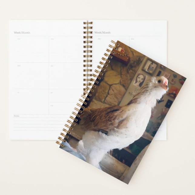 Agenda Spiral Planner Chicken on the Fireplace (Exibição)