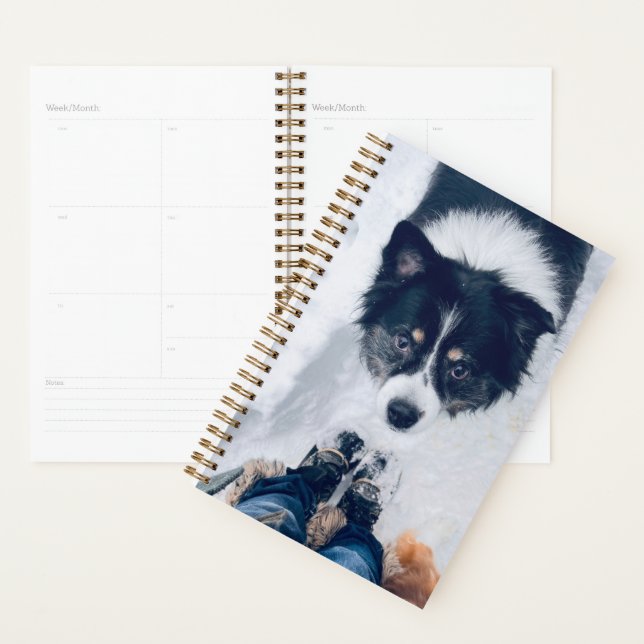 Agenda Spiral Planner- Cute Dog (Exibição)