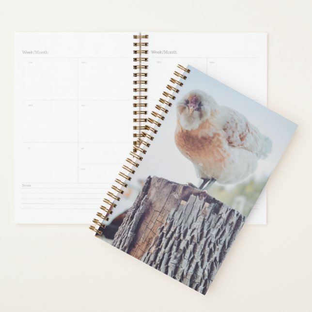 Agenda Spiral Planner - Its a Stumped Day (Exibição)