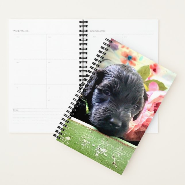 Agenda Spiral Planner Sweet Portuguese Water Dog (Exibição)