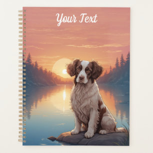 Agenda Springer Spaniel pelo lago