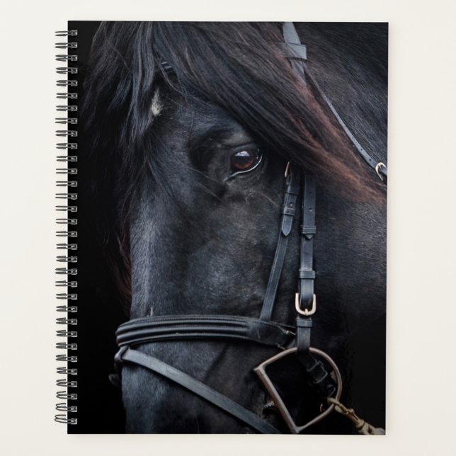 Agenda Stallion Negro (Frente)