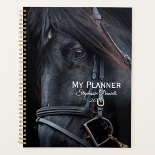 Agenda Stallion Negro