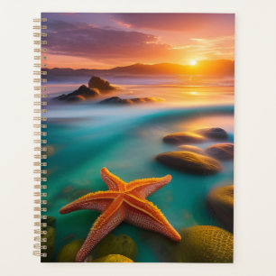 Agenda Starfish na praia no Dawn