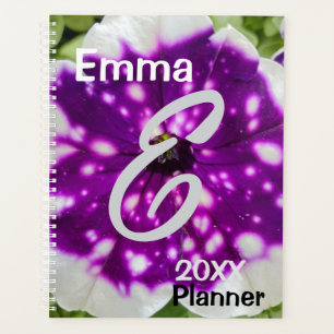Agenda Starry Night Petunia