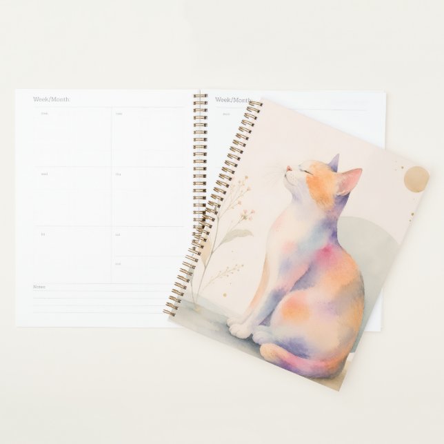 Agenda Stille Katze im Mondlicht (Exibição)
