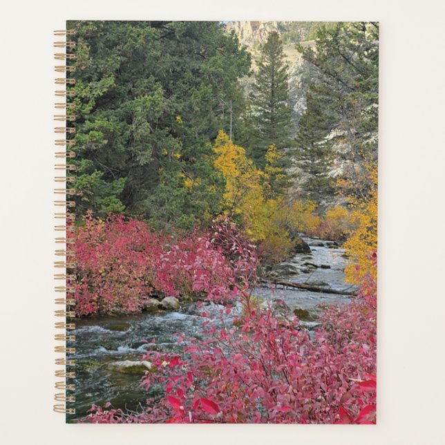 Agenda Stream Blooms Planner (Frente)