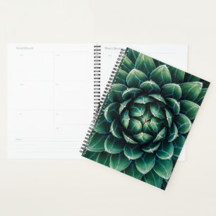 Agenda Suculente Verde e Branco