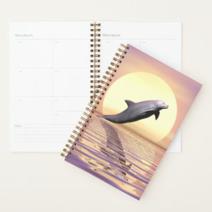 Agenda Sun Dolphin