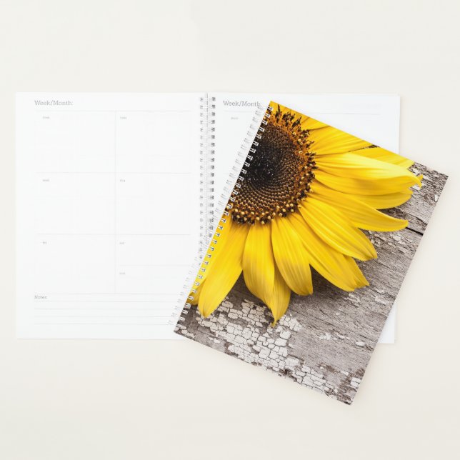 Agenda Sunflower (Exibição)