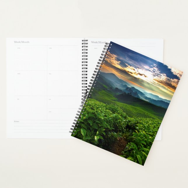 Agenda Sunrise sobre a Fazenda do chá (Exibição)