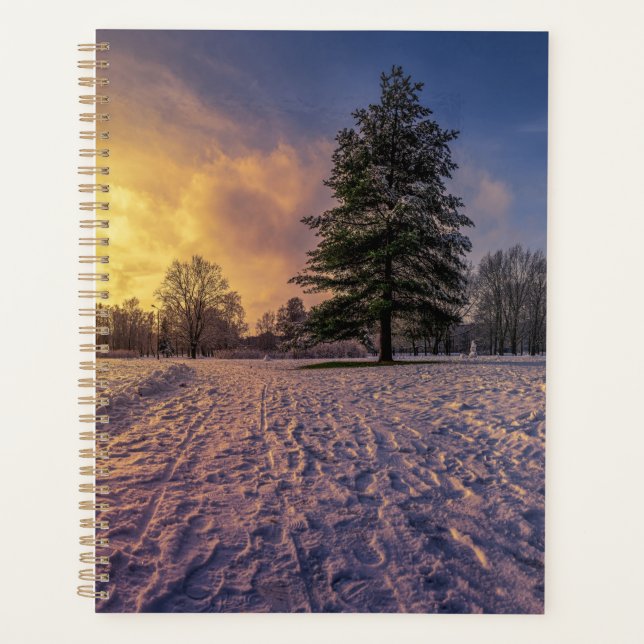 Agenda Sunset sobre o parque de inverno de neve (Frente)