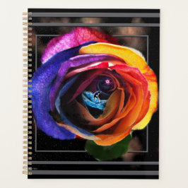 Agenda Surfar na Rosa do arco-íris