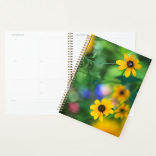 Agenda Susan de olhos negros