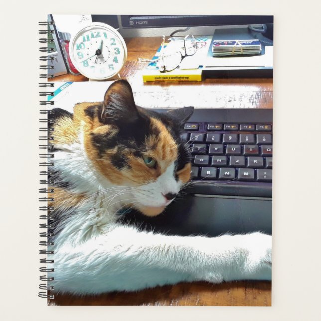 Agenda Tempo Limite (Frente)