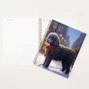 Agenda Temporada Festiva de Natal do Poodle