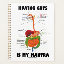 Agenda Ter Guias É O Meu Humor Do Sistema Digestivo De Ma