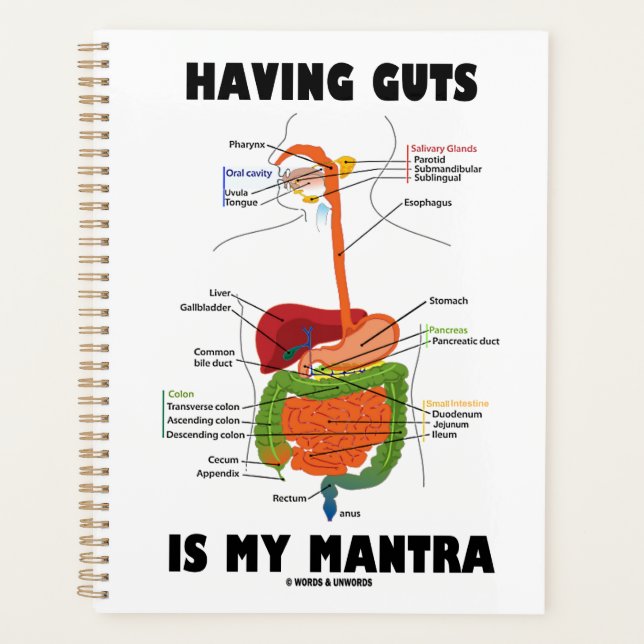 Agenda Ter Guias É O Meu Humor Do Sistema Digestivo De Ma (Frente)