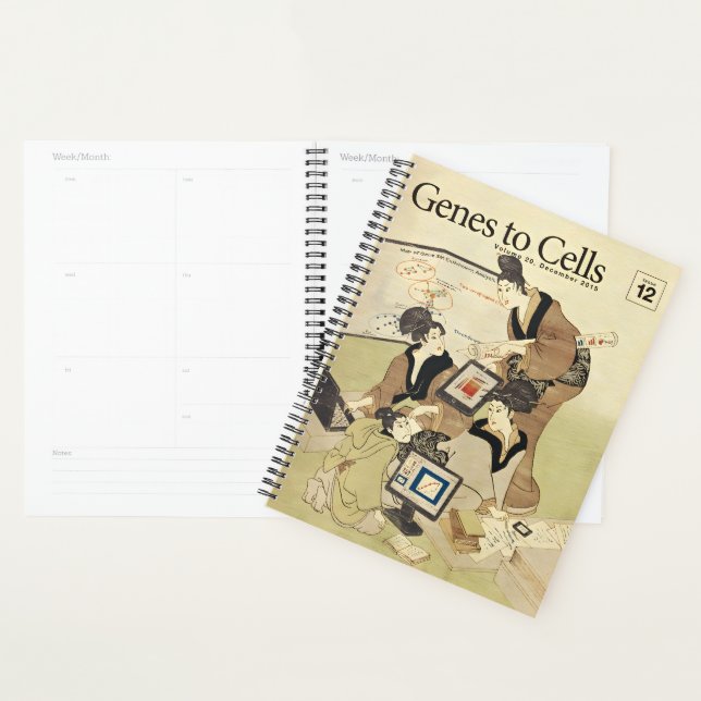 Agenda The Data Ukiyo-e: Uma Reunião do Eras (Exibição)