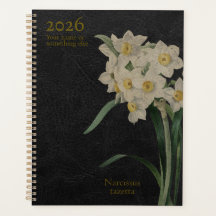 The Narcissus Tazetta: Paperwhite Perfection