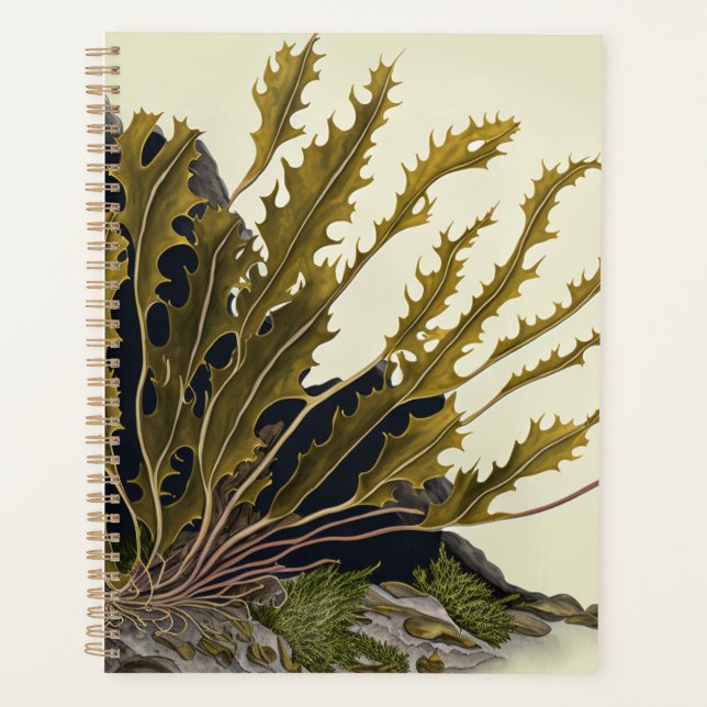 Agenda Tidal Fronds (Frente)