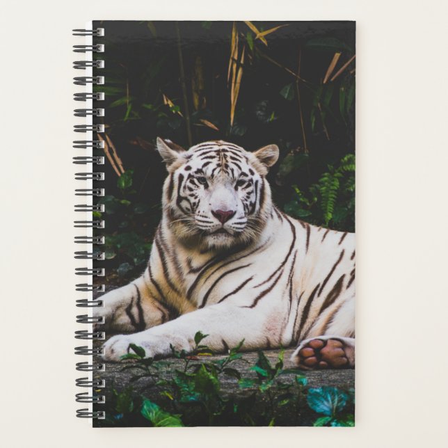 Agenda Tigre (Frente)