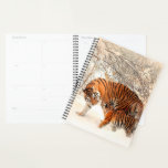 Agenda Tigres<br><div class="desc">Mamãe e Cub TigerÉ hora de se organizar! Planeje os seus dias de forma organizada e eficiente com esta agenda personalizável. Perfeito para seu estilo de vida ocupado,  este planejador tem um lugar para planejar seus meses,  planejar suas semanas,  e anotar tudo que é importante para você!</div>