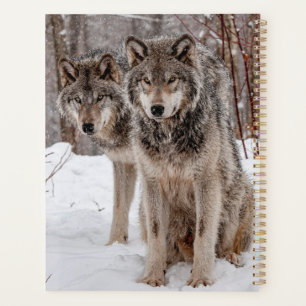 Agenda Timber Wolf