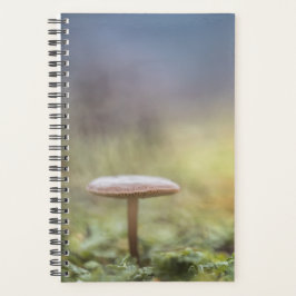 Agenda Tiny Mushroom Nature Foto