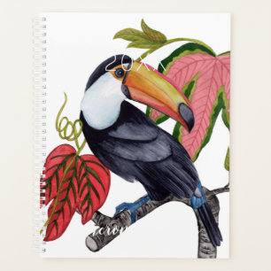 Agenda Toco Toucan