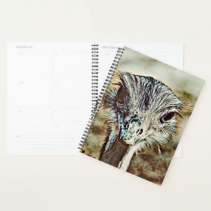 Agenda toony ostrich