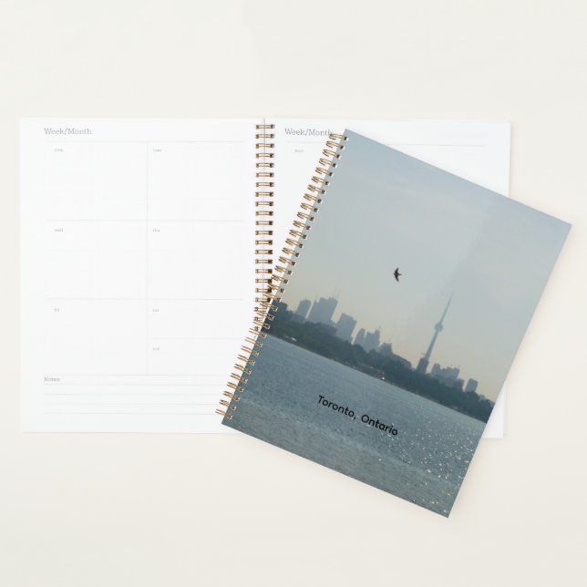 Agenda Toronto  (Exibição)