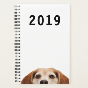 Agenda Trendência Moderna do Cão Engraçado Bonito