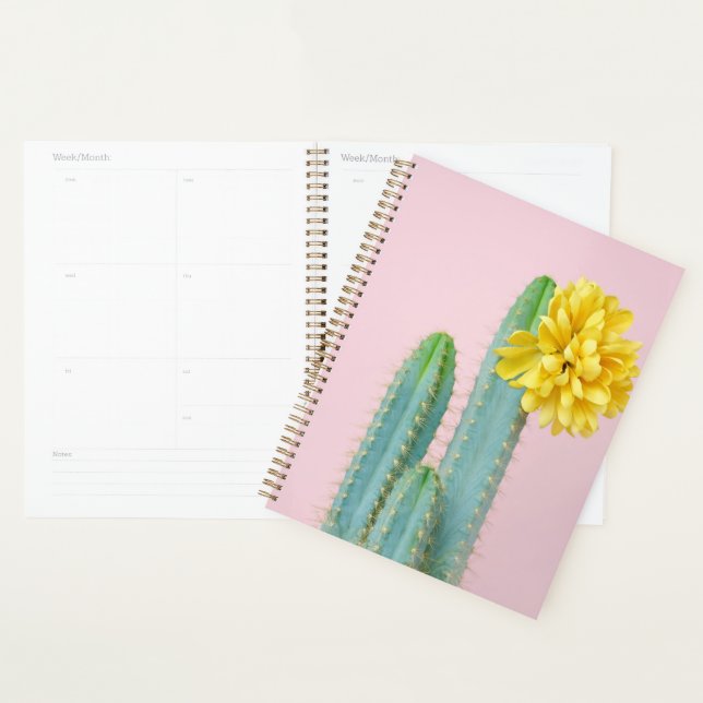 Agenda Trio de Cactus Azul (Exibição)