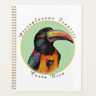 Agenda Tucano em aquarela