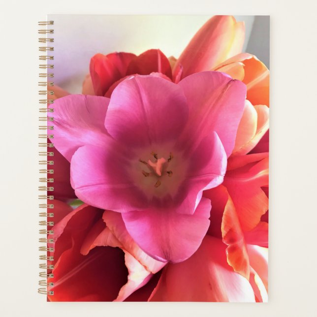 Agenda Tulipa Rosa dentro (Frente)