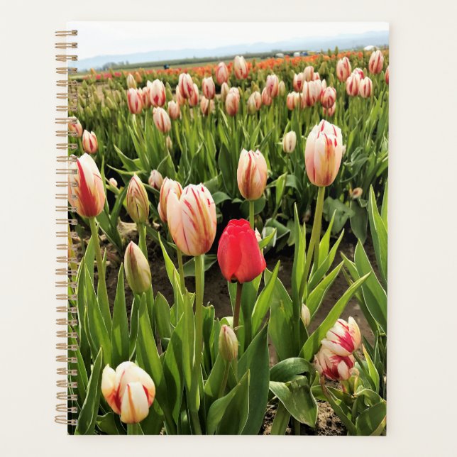 Agenda Tulipa Rosa Destacando (Frente)