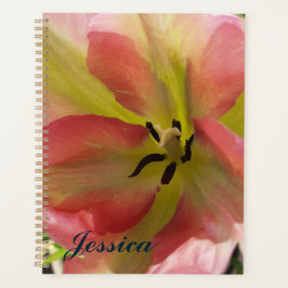 Agenda Tulipa Rosa e Amarela