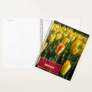 Agenda Tulipas Amarelas