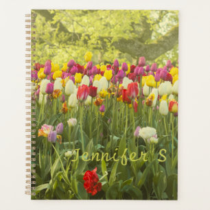 Agenda Tulipas coloridas num parque personalizadas