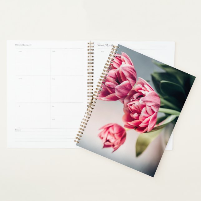 Agenda Tulipas em um Vase (Exibição)