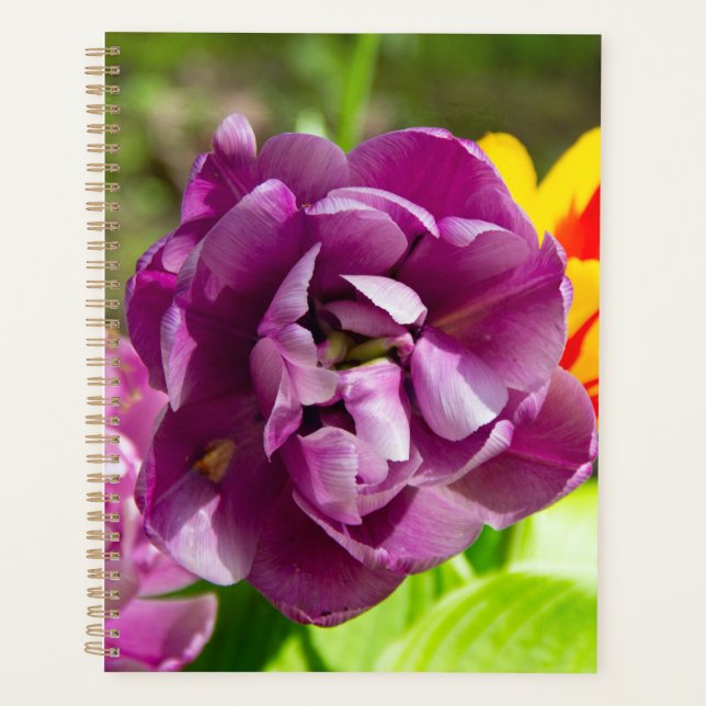 Agenda Tulipas lilás num dia ensolarado (Frente)